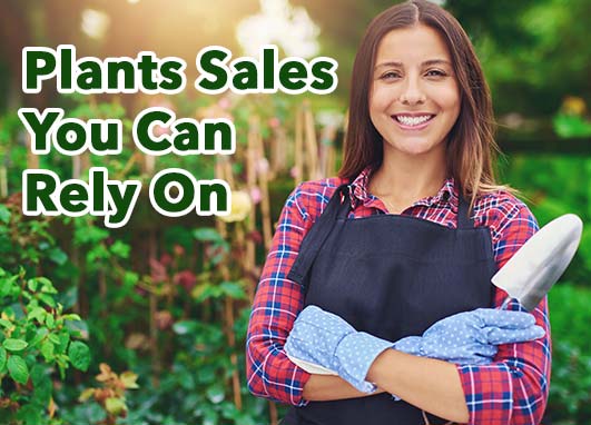 <span class='t-color3'>Perez Nursery & Plant:</span> Your Trusted Plant Sales Company 
