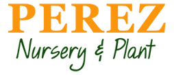 Perez Nursery & Plant